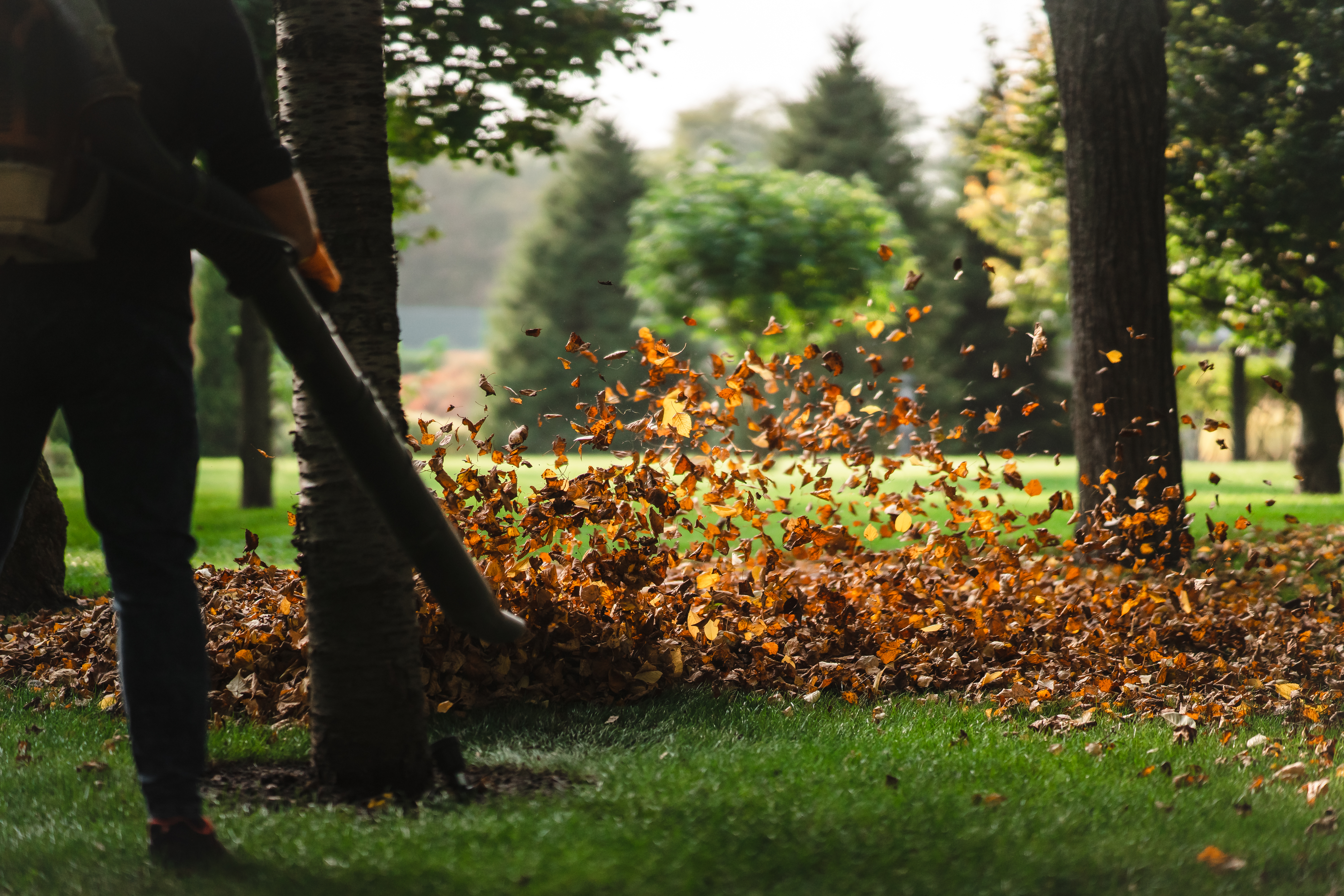 Leaf cleanup service on a landscaped property